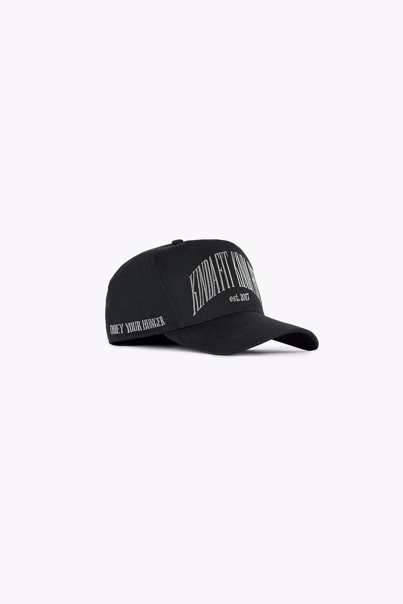 Persist 5 Panel Cap - Image 3